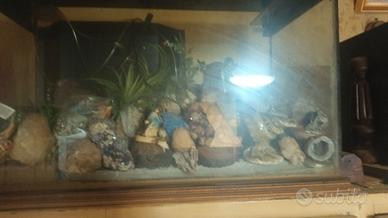 ACQUARIO CON ACCESSORI MARINI 70X35X45