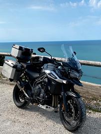 Triumph Tiger 1200 - 2019