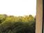 Immagine 14