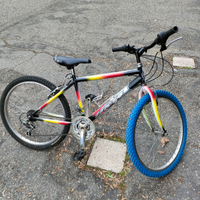 MTB ragazzo 24 pollici