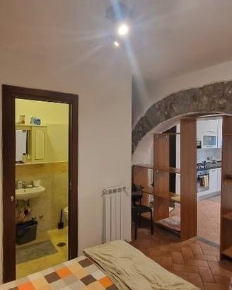 PALESTRINA GRAZIOSO BILOCALE Ben ARREDATO