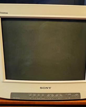 Sony Trinitron PGM-100P1MD