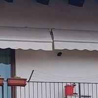 TENDE DA SOLE PER ESTERNO