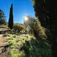 RUSTICO A MONTELANICO