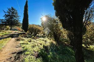 RUSTICO A MONTELANICO