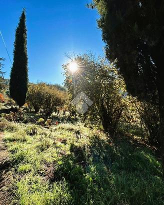 RUSTICO A MONTELANICO