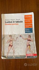 LUDUS IN TABULA GRADUS PRIMUS LATINO
