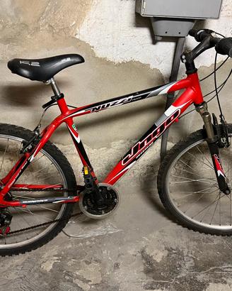 Bici Nuzzi Mountain bike