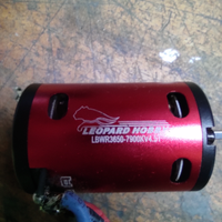 Motore brushless Leopard