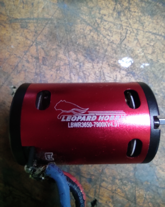 Motore brushless Leopard