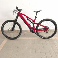 E-bike Raymond airray 10.0 CARBON