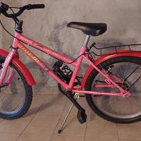 Bicicletta da bambina 20 pollici 