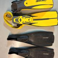 2 psia di pinne mares e gressi