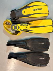 2 psia di pinne mares e gressi