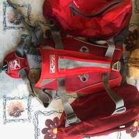 accessori per animali