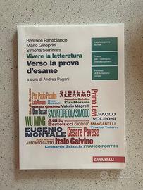 Vivere la Letteratura VERSO LA PROVA D’esame