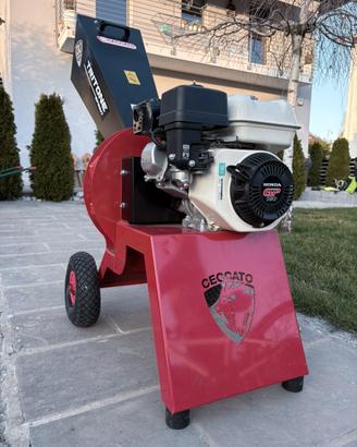 CIPPATORE TRITONE SPRINT