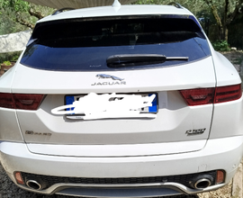 Jaguar e pace