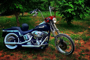 Harley davidson softial springer