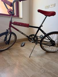 BMX TEAM