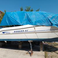 Sessa Dorado 22 Honda 150 CV  /2004