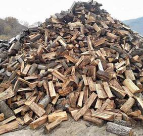 legna da ardere secca 