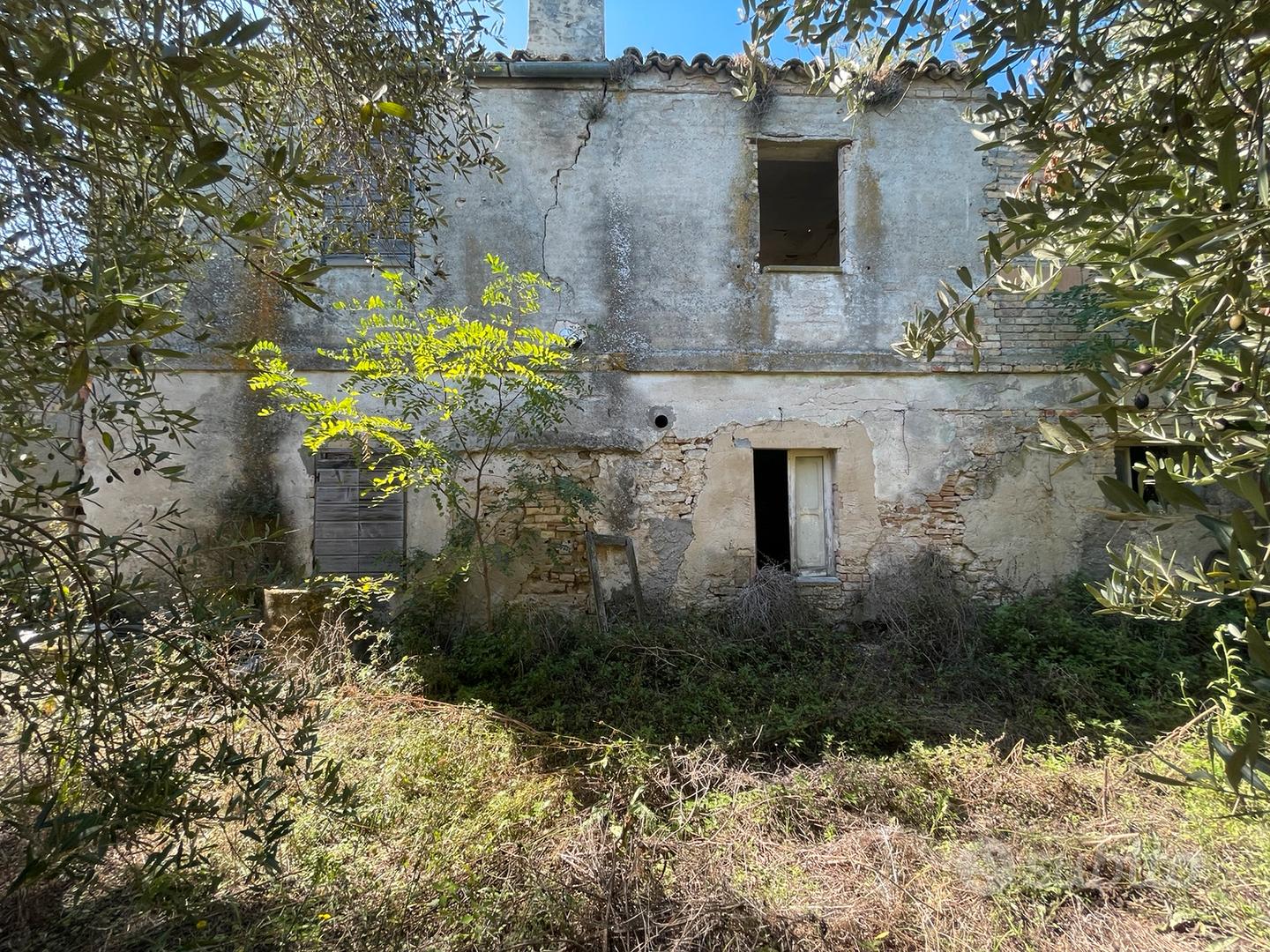 Casale con uliveto - Vista 3