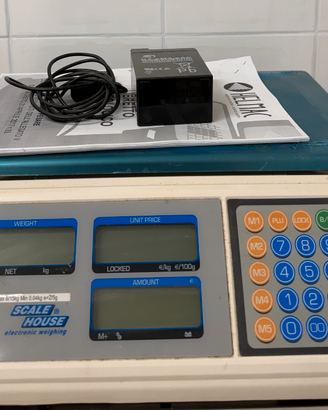 Bilancia ScaleHouse Electronic Weighing
