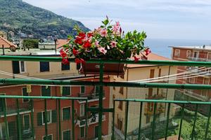 Levanto appartamento 50 metri spiaggia vista mare