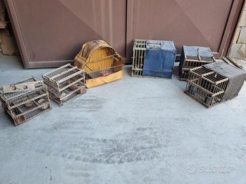 Gabbiette uccellini da richiamo (6 pezzi)