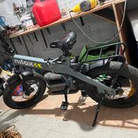Bicicletta elettrica
