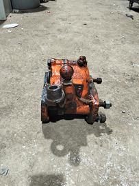 Moltiplicatore pasquali