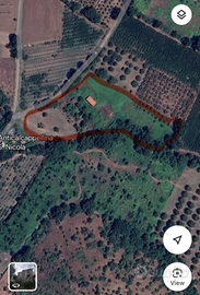 Terreno pianeggiante