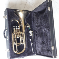 Baritono Borbardino Weril