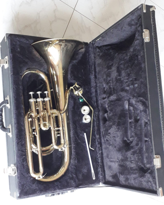 Baritono Borbardino Weril