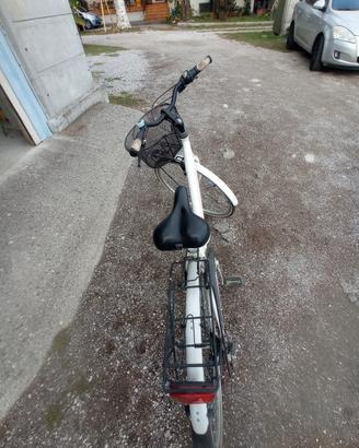 City bike della Lombardo da donna