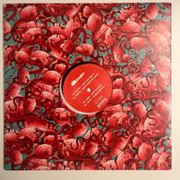 Vinile