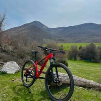 Trek xcaliber 8