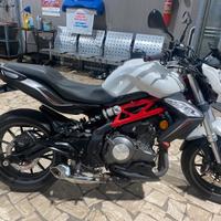 Benelli bn 302 abs