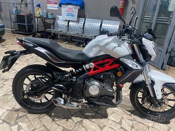 Benelli bn 302 abs