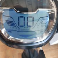 Bicicletta elettronica