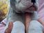 Immagine 3