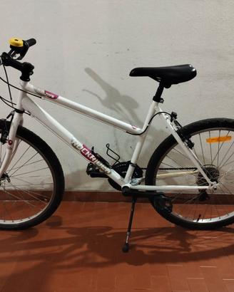 mountain bike