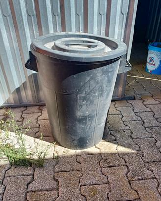 bidone spazzatura