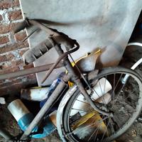 bicicletta bacchetta bambino