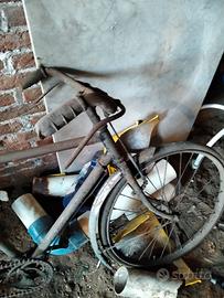 bicicletta bacchetta bambino