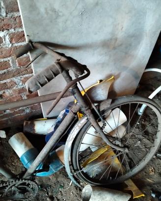 bicicletta bacchetta bambino