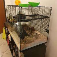 gabbia per criceto PawHut 77 x 50 x 50