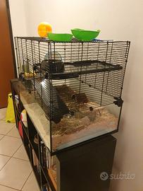 gabbia per criceto PawHut 77 x 50 x 50