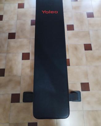 Panca Piana Professionale